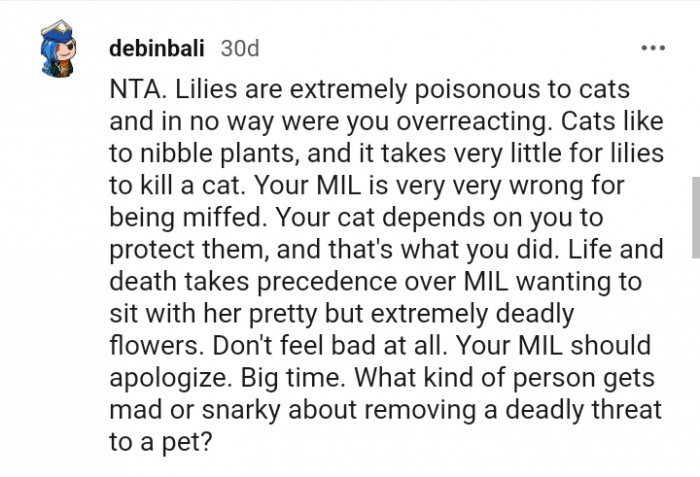 It takes very little for lilies to kill a cat