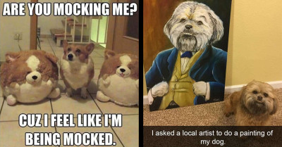 Here Are 30 Of The Cutest Animal Memes To Fill Your Day With Warmth And Fuzziness