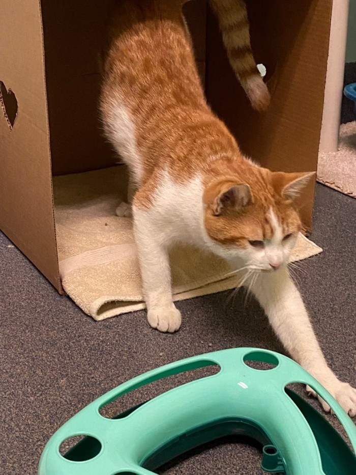 Wild Bill always retired to the box