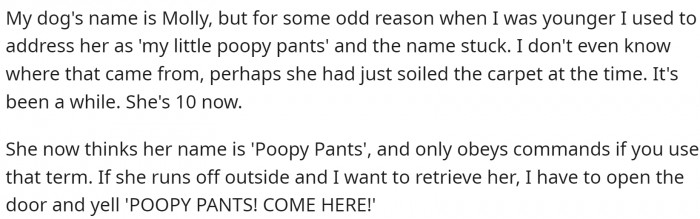 OP has a dog named Molly, but they used to address her differently, and the name stuck...