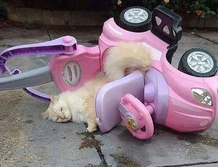 25. That toy car is part of her bed.