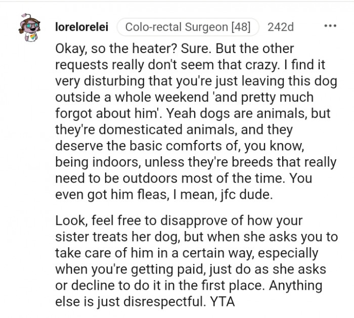 13. Dogs are animals but they are domesticated