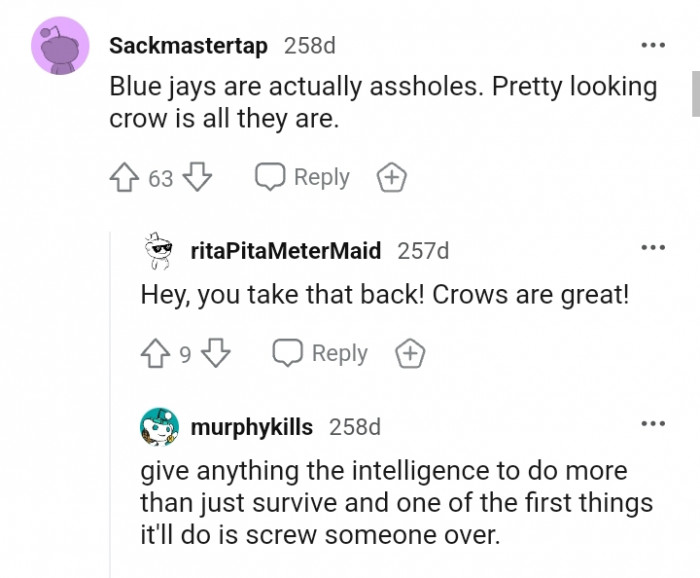 This Redditor refers to them as pretty-looking crows