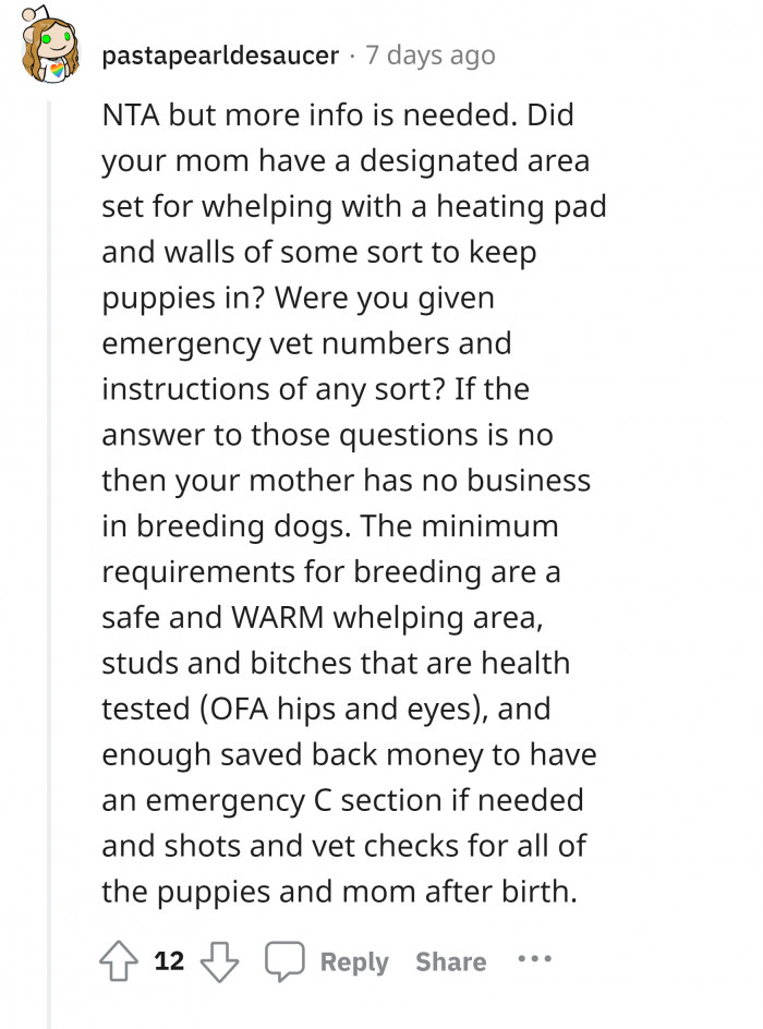 #18 Preparation for the possibilities, before and after.