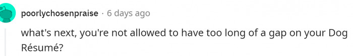 Dog resume gap:)