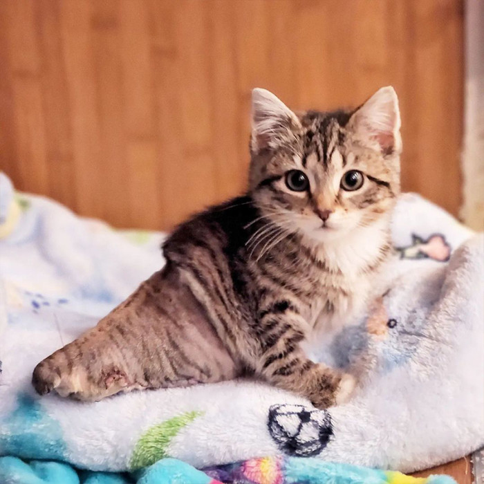 People can't resist the cuteness of Twinkle. She's everyone's charming bad girl.