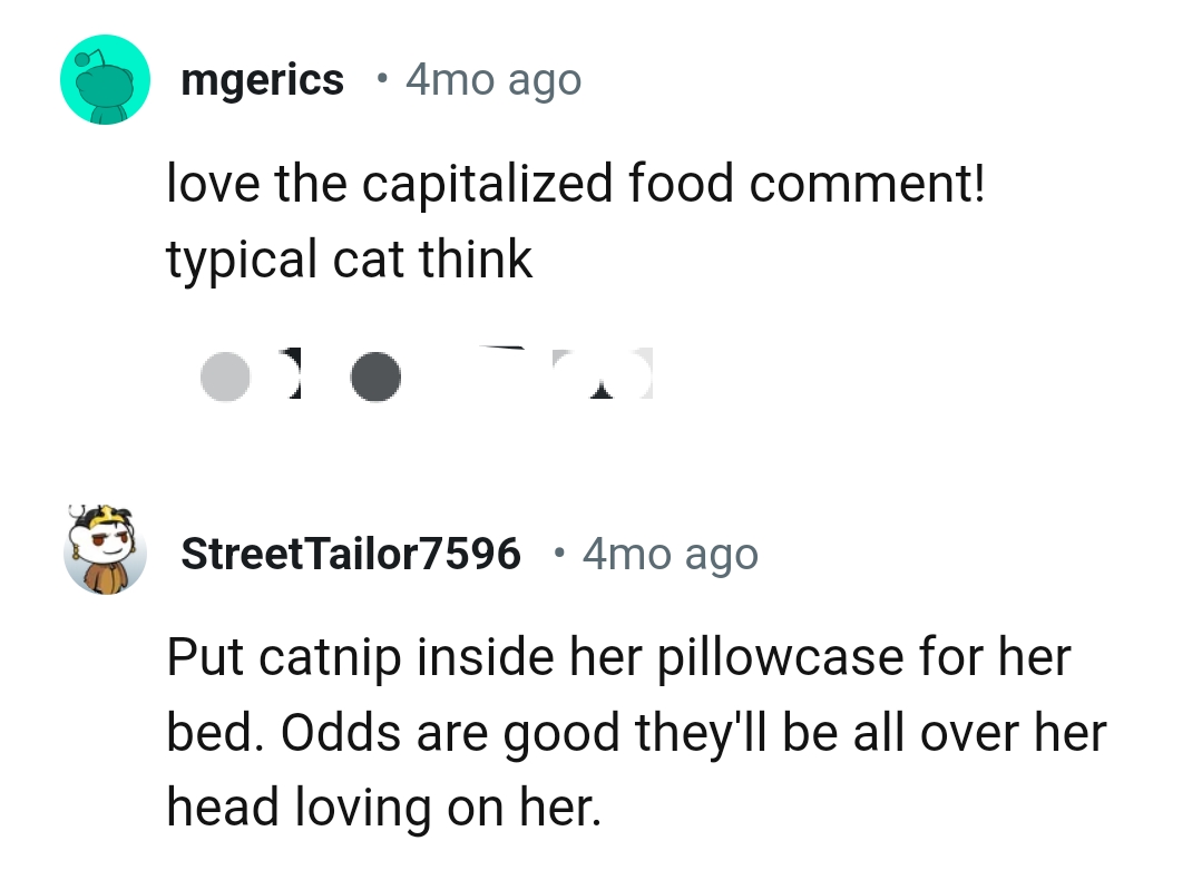 Putting catnip in her pillowcase for her bed
