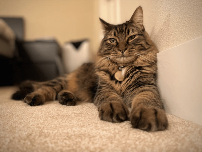 12. “I also have RBF 95% of the time, especially when dealing with humans.”