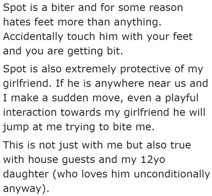 The dog is a biter. It attacks the OP, house guests, and his daughter.