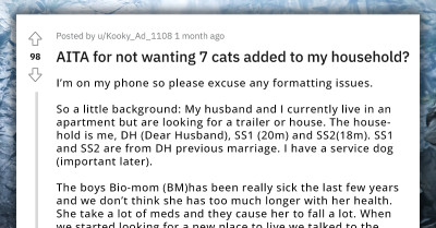 Woman Allows Her Husband's Sick Ex-Wife To Live With Them But Doesn't Want Seven Cats That Go With Her