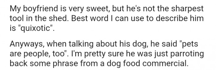 He's not the sharpest tool in the shed