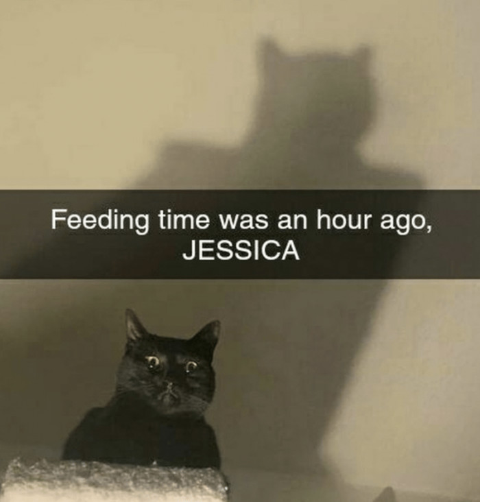 8. Hey Jessica, it's already been one long hour now, and I think it's time for a new meal...
