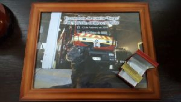 This fire station dog undoubtedly touched the hearts of everybody who knew him personally