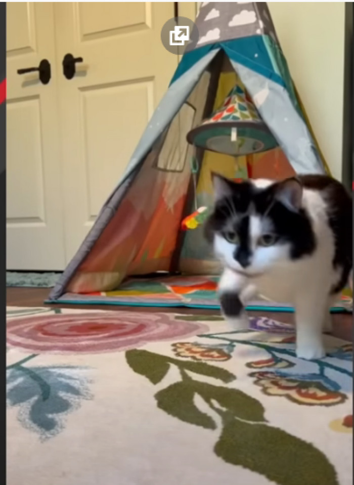 This illness affects motor skills