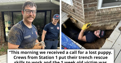 One-Week-Old Puppy Gets Stuck Under The Porch Deck; Firefighters Come To The Rescue and Reunite It With Its Mother
