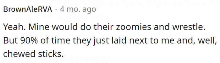 Another dog only uses it to sit with its owner.