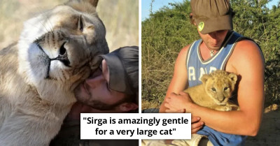 Viral Footage Shows Rescue Lioness Who Keeps Hugging The Man Who Rescued Her Years Ago