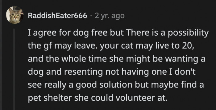 OP is a wonderful cat owner, but his girlfriend may resent him for it, especially if she can't get a dog soon