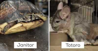 18 Uncommon and Exotic Pets Listed for Adoption on Petfinder