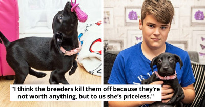 Unwanted "Kangaroo" Dog Born With Six Legs Finally Gets Adopted By Teenager Who Is No Stranger To Being Bullied