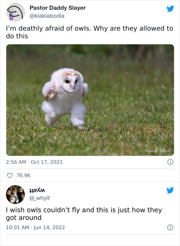 34. They are always adorable and funny