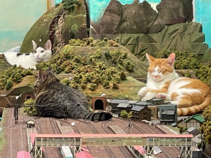 The terror of train railways has arrived!