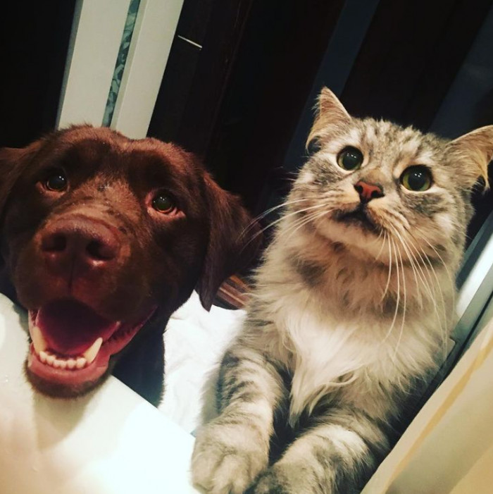 21. They're so jolly and sociable, and they will never say no to making friends.