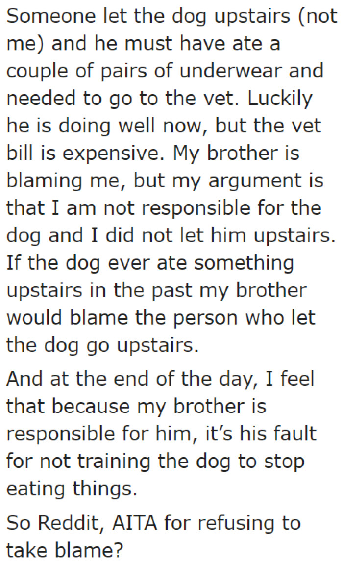 The dog isn't supposed to have access upstairs, but someone let the dog in there.