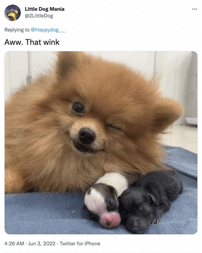 7. "That's all me. I did that."