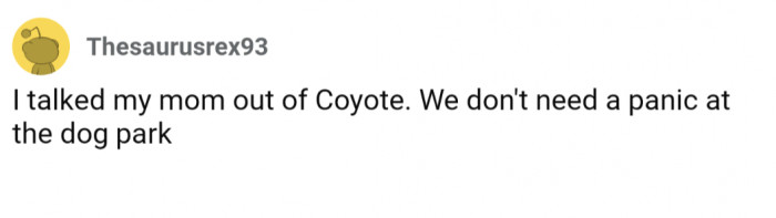 8. Panic! At The Dog Park