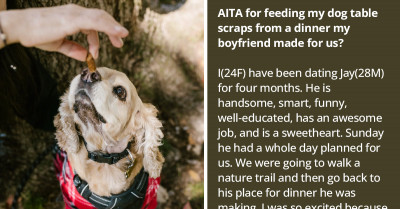 Girlfriend Feeds Her Dog "Table Scraps," So Redditors Go In Hard To Teach Her The Difference Between Leftovers And Table Scraps