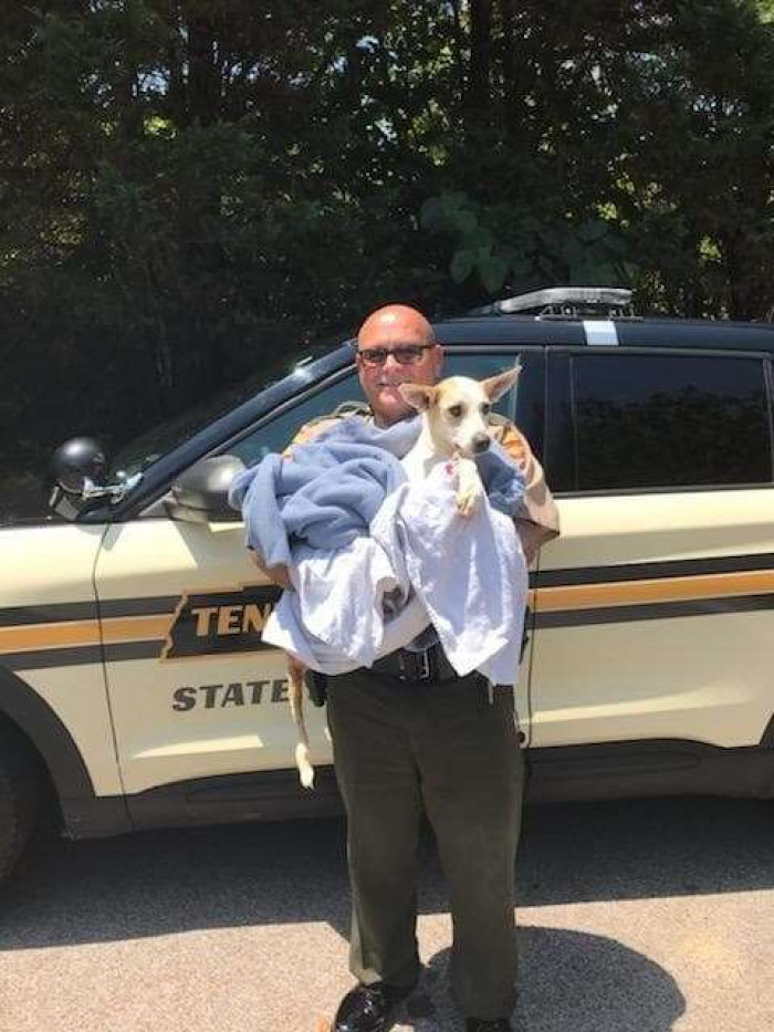 A week after the pup had been found, she found herself a home