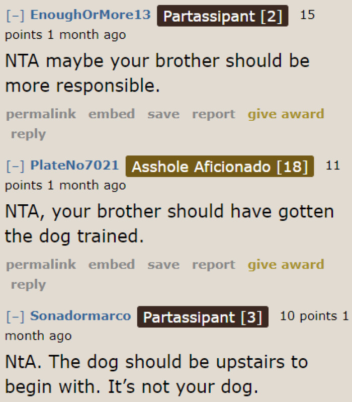 The brother isn't responsible enough. If he had trained his dog well, this wouldn't have happened.