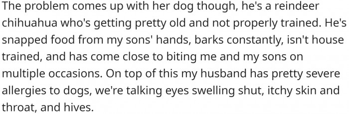 But there is a problem - the dog