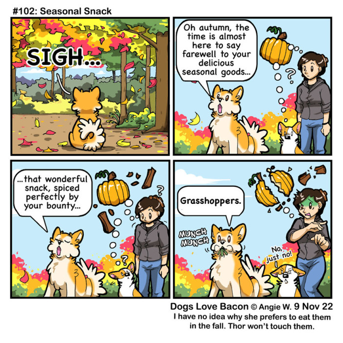 Doggo Loves Grasshoppers.