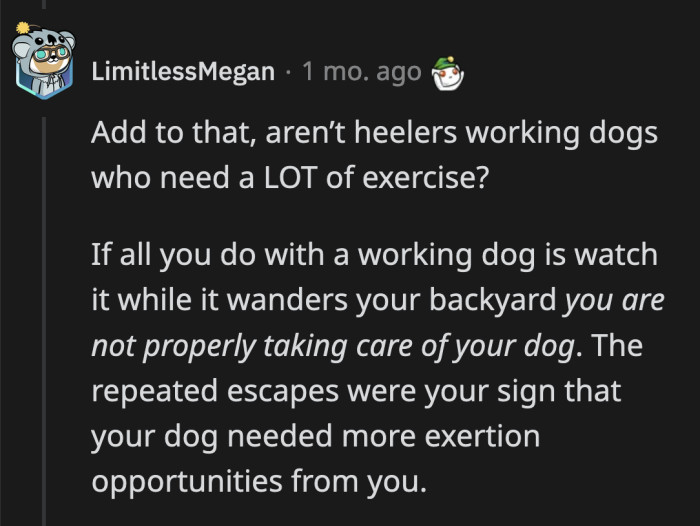The dog is probably understimulated and underexercised, which is why she's repeatedly running away