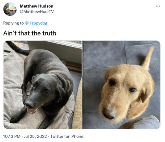 17. Many people agree.