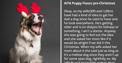 Man Gets Grumpy Because In-Laws Took The Puppy They Were Supposed To Train Before Handing It Over To Them