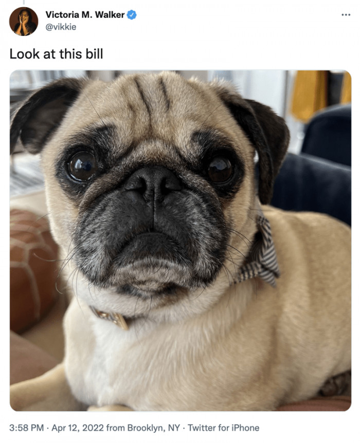 Now take a look at bill