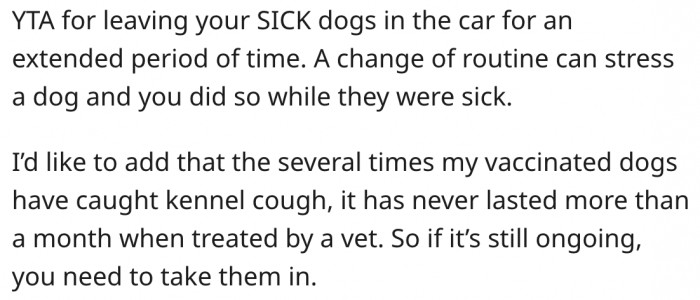 12. It's bad to leave sick dogs alone in a car for a long time.