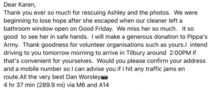 The owner was thrilled when he saw the good news: