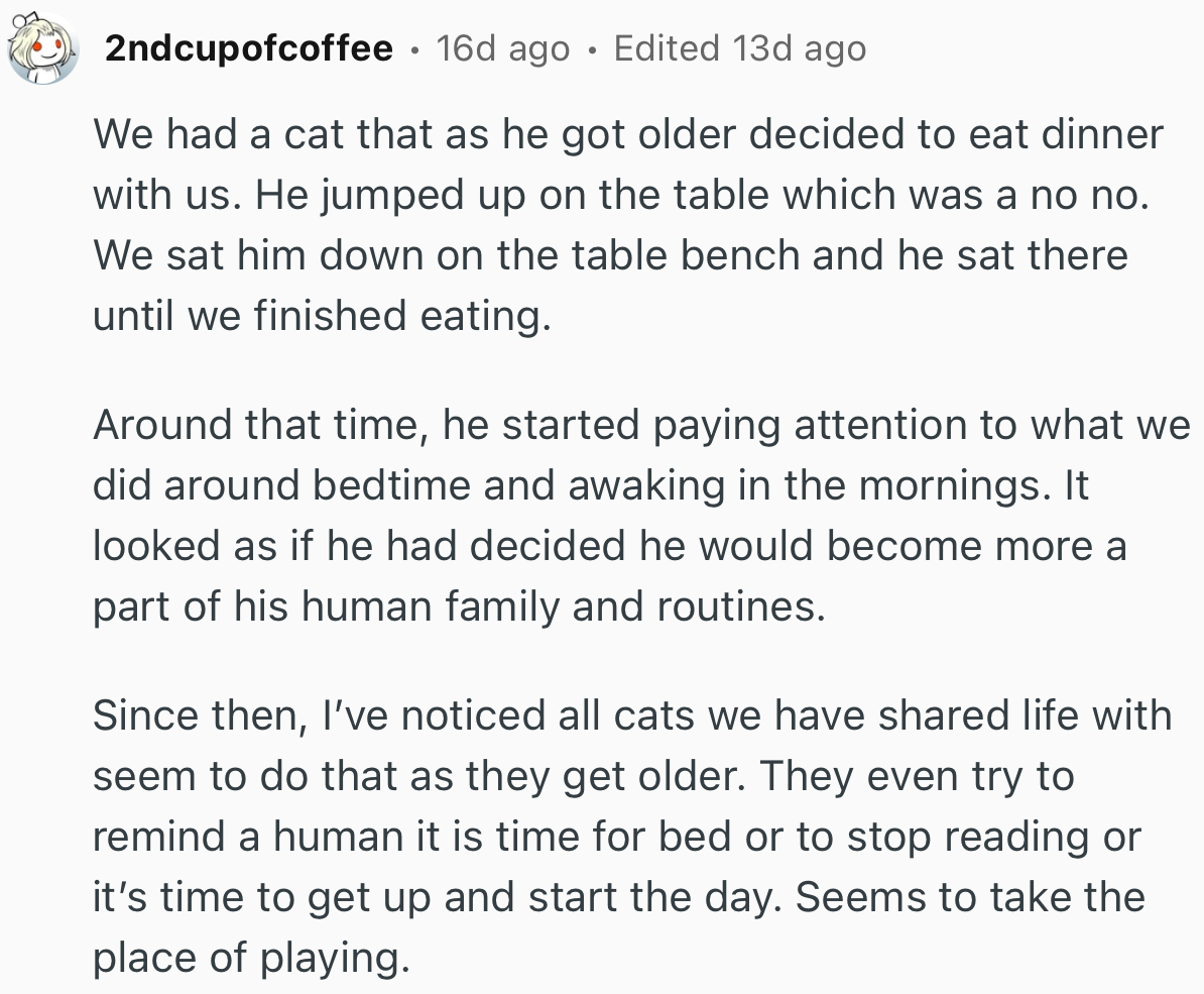 “We Had A Cat That, As He Got Older, Decided To Eat Dinner With Us.”