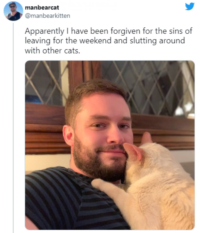 7. This adorable kitten was willing to forgive its owner for spending an hour or two with another cat: