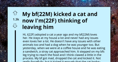 Cat-Loving Girlfriend Considers Breaking Up After Boyfriend Kicks Cat