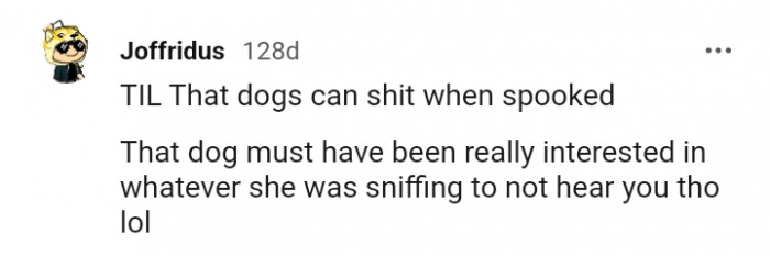 19. The dog must have been really concentrated