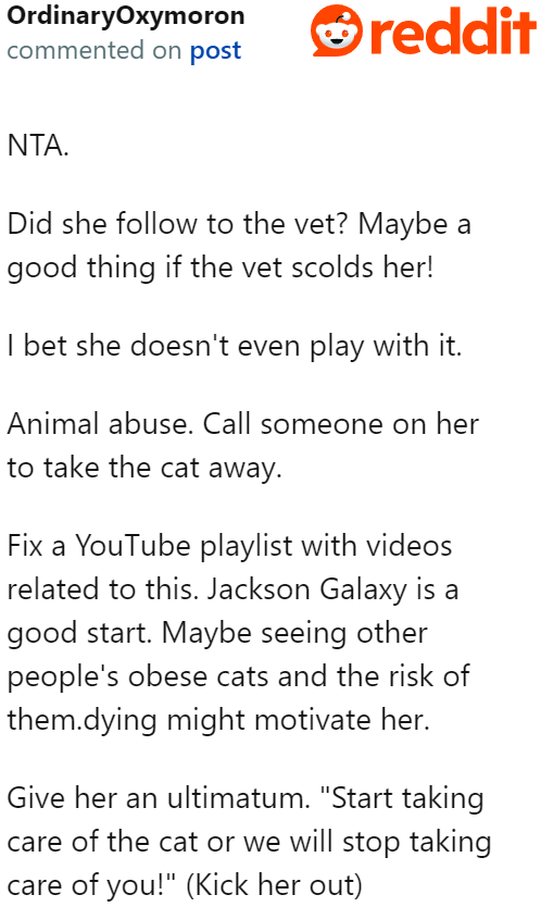 Maybe the mother-in-law will finally listen if the vet scolds her for what she's doing to her cat.
