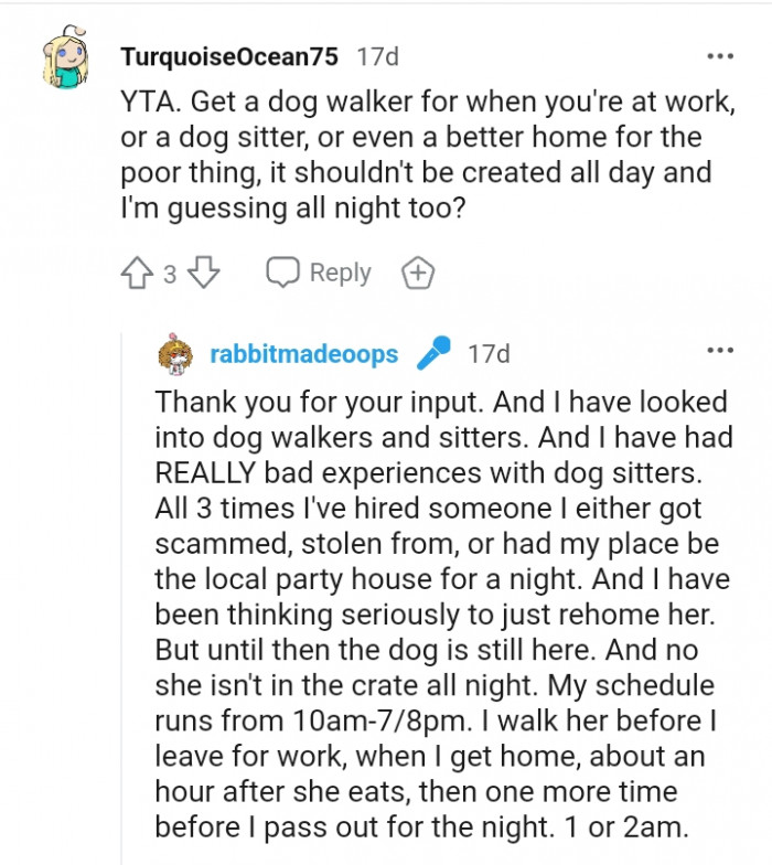 This Redditor advises the OP to get a dog walker