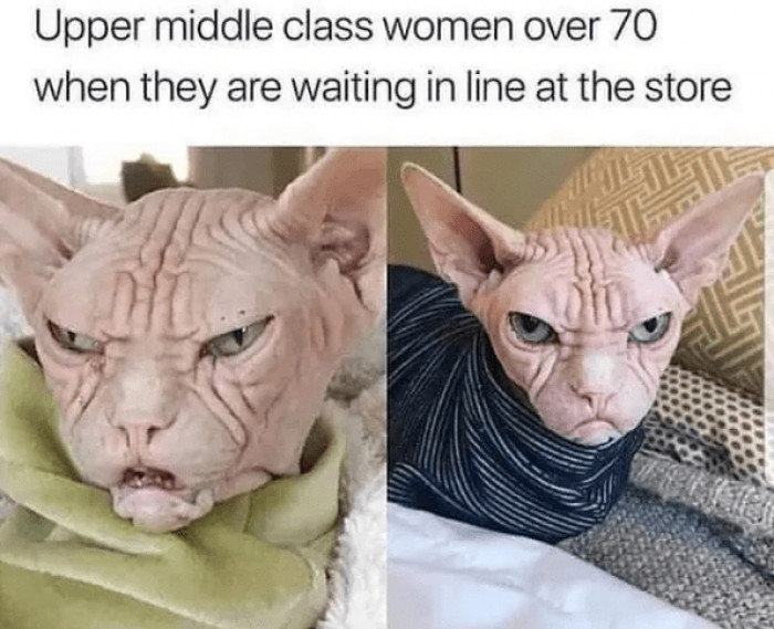 5. Is this accurate or not?