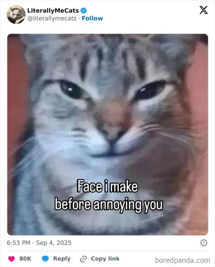 36. The calm before the chaos.