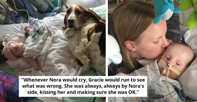 Hospital Grants Family's Final Wish For Their Daughter By Allowing Her Two Loyal Dogs To Lay With Her Until Her Final Breath